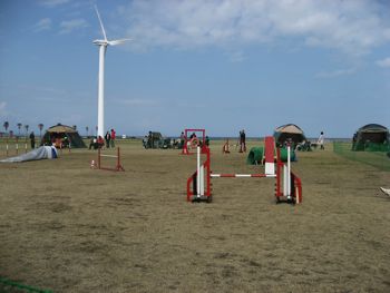 5139.jpg