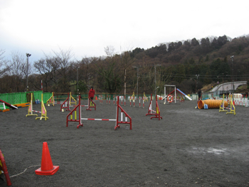 5159.jpg
