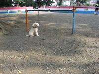 IMG_0026.jpg