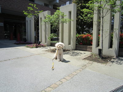 IMG_0185.jpg