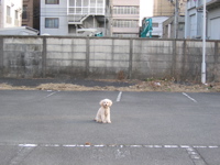 IMG_5376.jpg