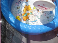 MVI_0310_0005.jpg