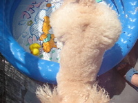 MVI_0310_0009.jpg