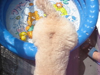 MVI_0310_0010.jpg