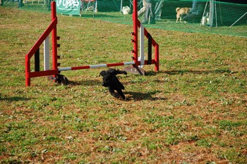 081221-018.jpg