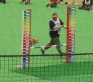 1051.jpg