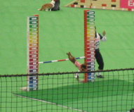 1054.jpg
