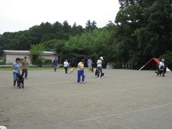 12250.jpg