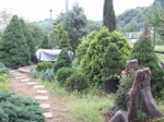 12286.jpg