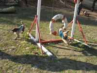 1611.jpg