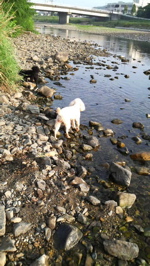 2008080306250000.jpg