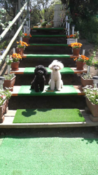2011041712020000.jpg