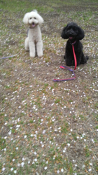 2011041810150000.jpg