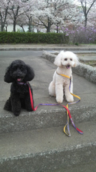 2011041712020000.jpg