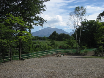 2184.jpg