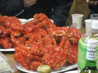 4726.jpg