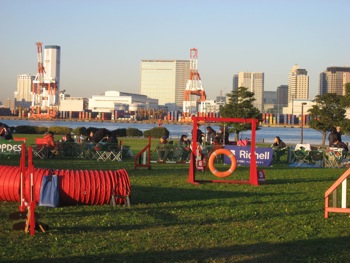 4846.jpg