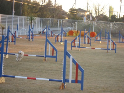 4890.jpg