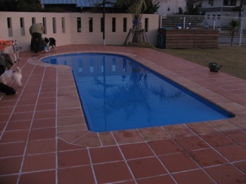 4894.jpg