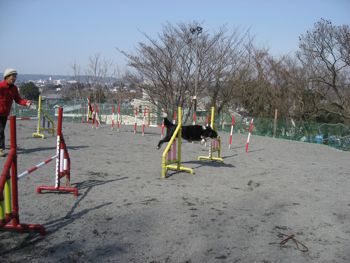 5057.jpg