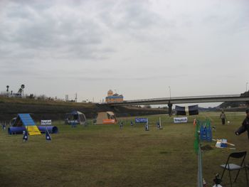 5090.jpg