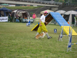 5317.jpg