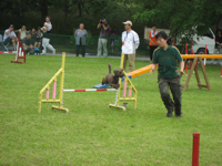 5468.jpg