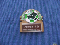 5591.jpg