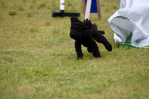 DSC_0188.jpg