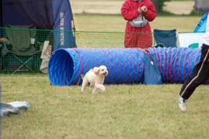 DSC_0392.jpg