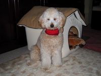 IMG0169.jpg
