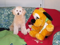 IMG0193.jpg