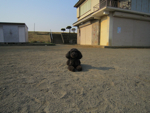 IMG_0009.jpg