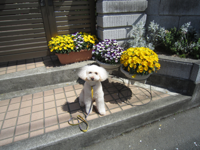 IMG_0099.jpg