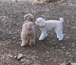 IMG_3686.jpg