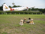 IMG_3712.jpg