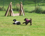IMG_4073.jpg