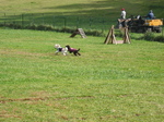 IMG_4075.jpg