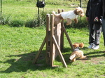 IMG_4120.jpg