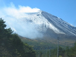 IMG_4139.jpg