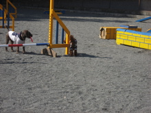 IMG_42120.jpg
