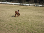 IMG_42210.jpg