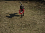 IMG_42240.jpg