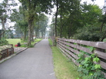 IMG_4240.jpg