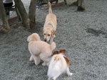 IMG_4360.jpg