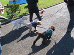 IMG_4408.jpg