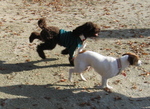 IMG_4423.jpg