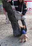 IMG_4436.jpg