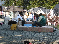IMG_4484.jpg