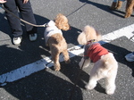 IMG_4925.jpg